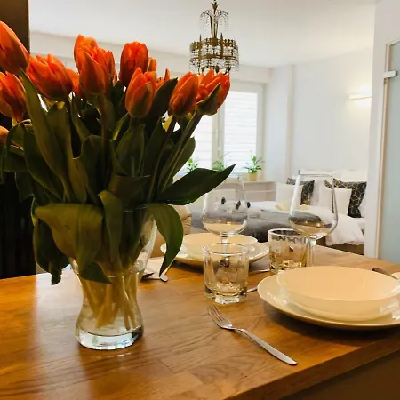 Apartment Patronus Vip City Center